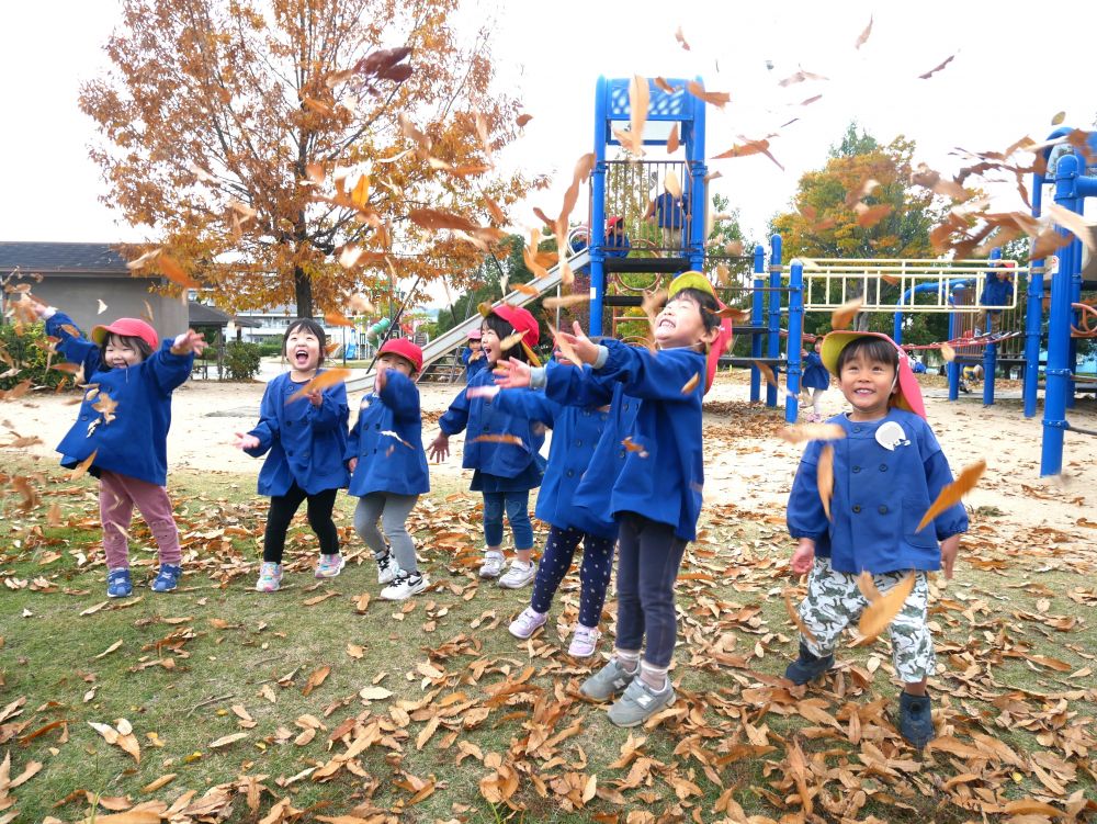 今日はいつもより気温も下がり
よく風が吹く日でした
しかし・・・子供は風の子！！元気に走って飛び跳ねる！！
風が吹くと同時にみんなで葉っぱを
『せ～の！！』
『キャー♡楽しい！！』
葉っぱのシャワーを楽しみました