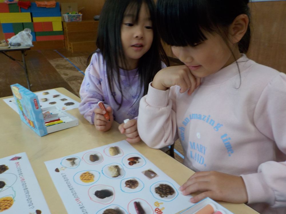 キリン組さんは【きのこ】の仲間と【いも】の仲間分けを考えました。

「う～ん・・・これはきのこかな？いも？」
友達に相談しながら考えました。
あまり知らないきのこや芋は難しい様子でしたが先生と一緒に答え合わせをしながら楽しみました。
きのこも芋もたくさんの種類があります。
今一番美味しい旬の食べ物なのでご家庭でもスーパーなどできのこと芋を探してみてくださいね♡