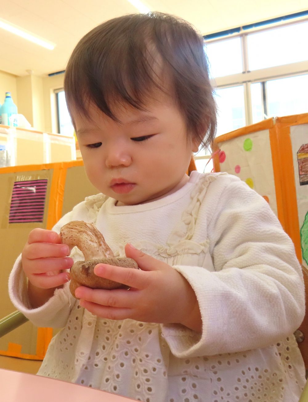 ウサギ組さん🐰　
　初めてのキノコ♪