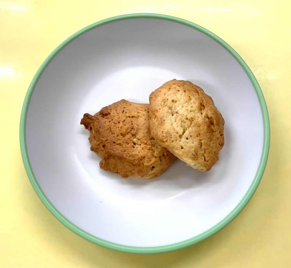 ロックビスケット