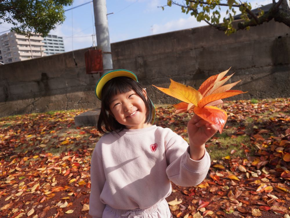 「見て～落ち葉の花束♡」