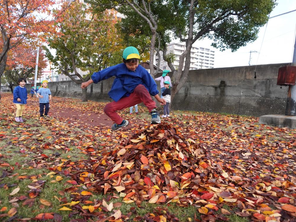落ち葉を大量に集めて積み上げて山作り！
そこを・・・
大ジャンプしたDくん！！