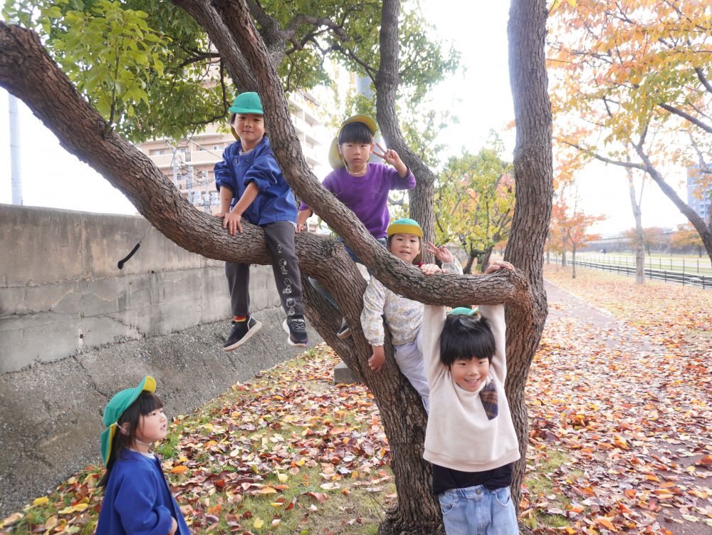 木登りもやっちゃった♡

安全に気をつけながら楽しんでいます♡