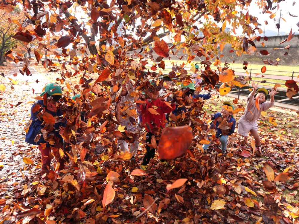 落ち葉の量がすごすぎてみんな隠れちゃいました♡

