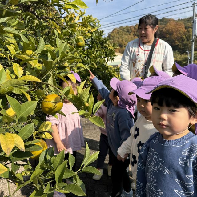 おさんぽ 　～2歳児　 クマ組～