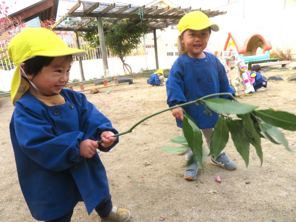 「よいよいよい♪」
元気いっぱいの声で園庭をねり歩くS君とY君
手には同じ植物を持ってユラユラ♪
大きな笑い声をあげながらベッチャーごっこを楽しんでいました
