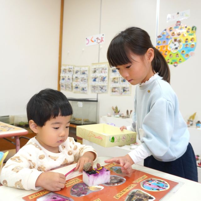 ＊　５歳児　どんぐりばんぱく①　＊