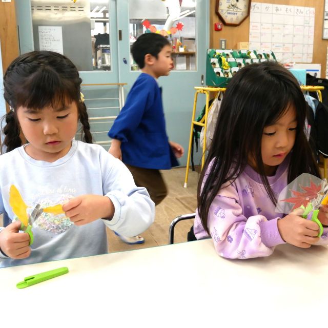 イチョウの変身①　＊５歳児＊