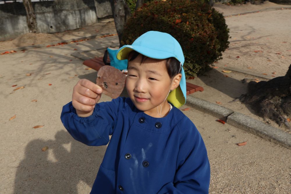 公園に散歩に行くと
たくさんの落ち葉がありました🍁♡
みんな夢中で集めます♪

「みて～おばけみたいな落ち葉があったよ」
Kくんが見つけた落ち葉には顔が🥹
子どもの発見って、とってもかわいい！🫶🏻
