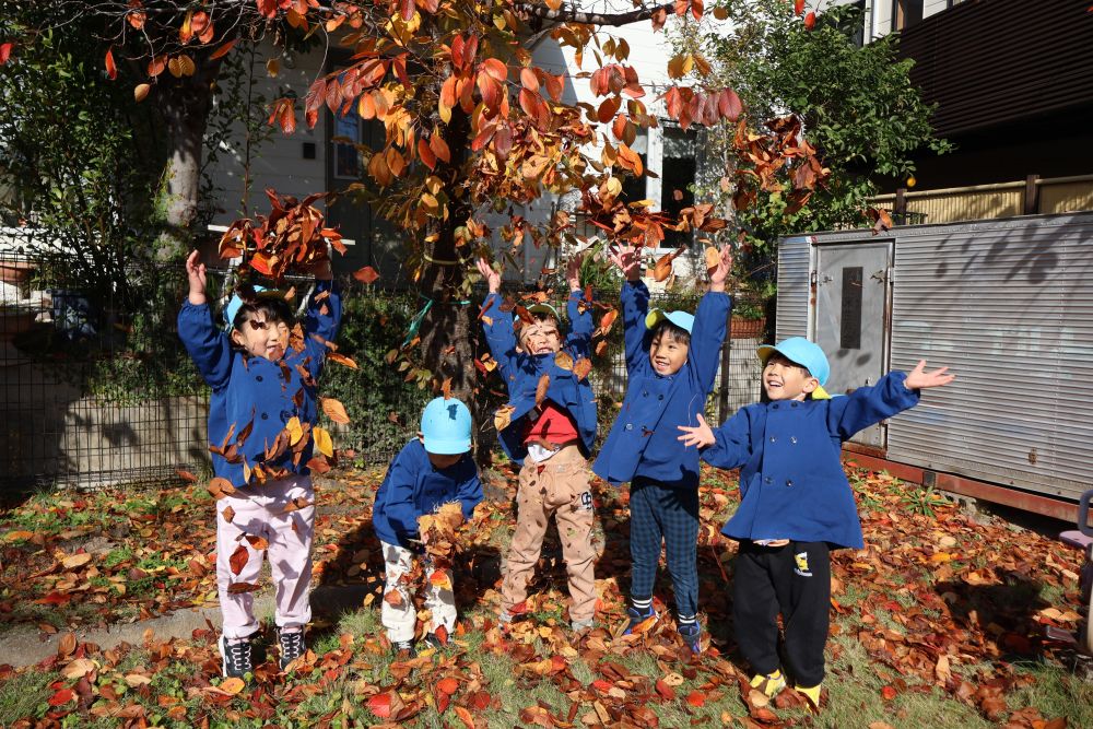 せーのっ！

みんなで息を合わせて
落ち葉のシャワーを浴びる様子です🧡
真っ赤な視界！全身で秋を感じて
とっても楽しそうなゾウ組さんでした✨

