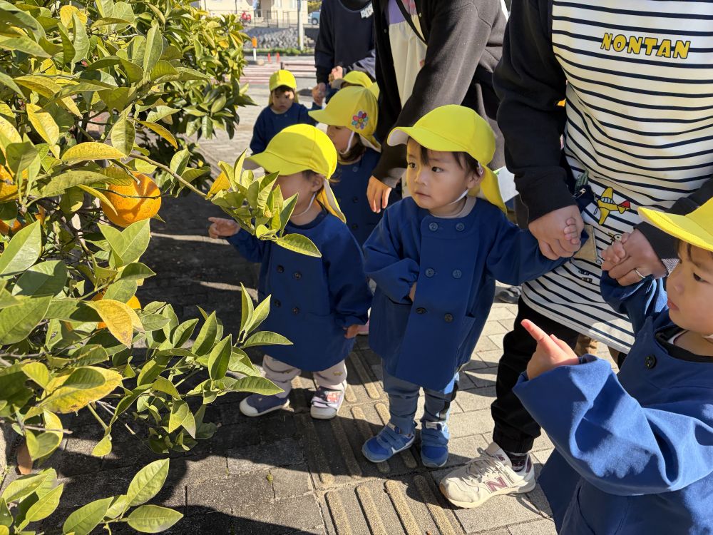 道中でみかんを発見！！
「あっ！！」と指さして
教えてくれましたよ