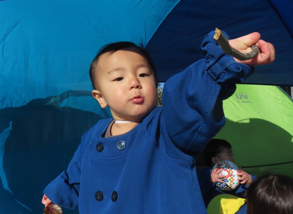 木の枝、み～つけた♪