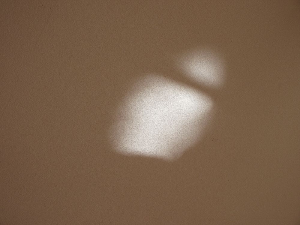 光っている先を、みんなで見てみると・・・
正体は園庭のバケツの中にある水の反射！！

「面白かったねー！」　「また出てくるかな？？」
手は届かなかったけど、面白い発見ができました！

これからも子どもたちの、小さな発見や気付きを大切にしていきたいです♡






