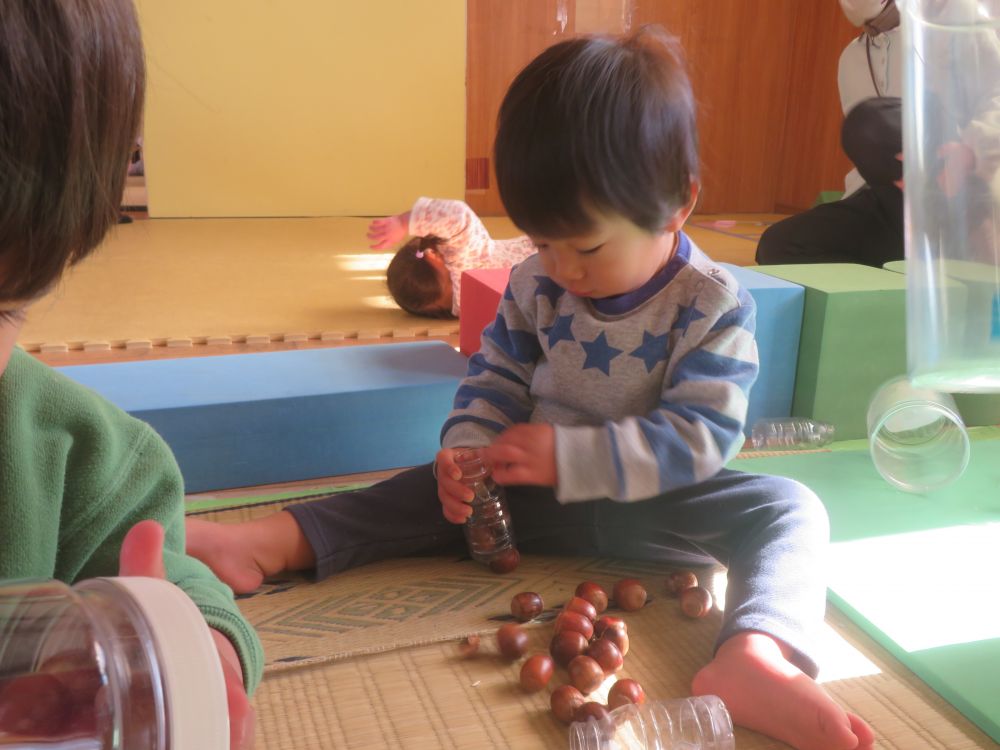 どんぐりをつかって遊ぶことを楽しんでいます♪

どんぐりのポットン落としに夢中になっているＳくん
容器の口はどんぐりがぎりぎり入るサイズで
大きすぎると入らないのものもあります

『これは入るかな・・・入った！』

どんぐりが入ると容器を振って
コンコン　コンコン♪
と音を鳴らして喜んでいました