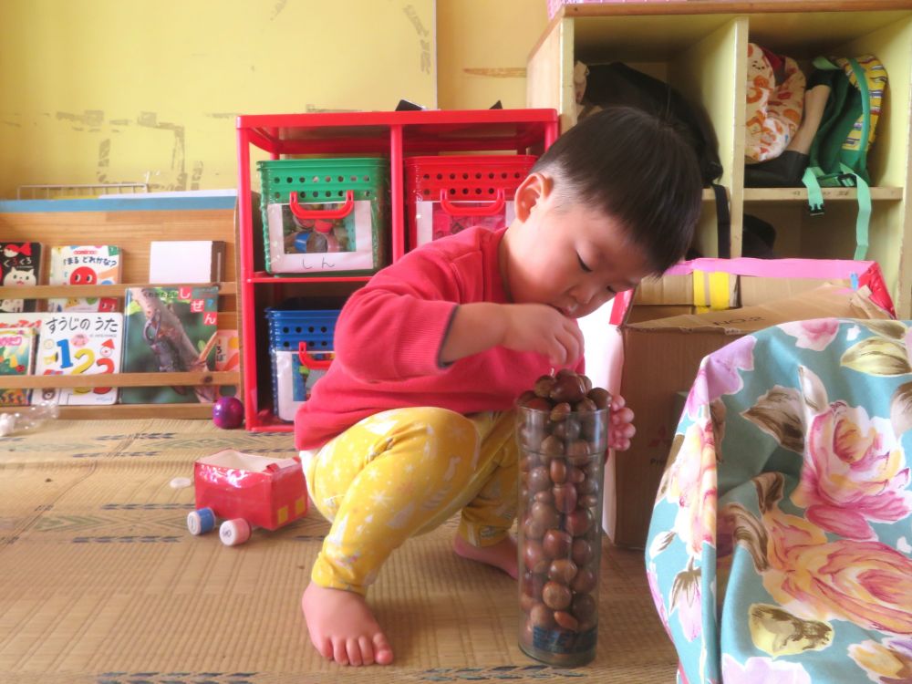 Ｉくんはどんぐりを集めることに夢中！
満足いくまで集中して集めます！

『まだ　まだ　のせれる！』

容器からあふれそうになっても慎重に積み上げて
Ｉくんの挑戦は続いていました