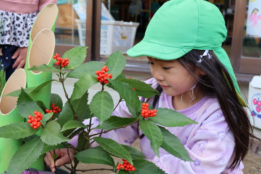 赤い実がかわいい千両♡
Iちゃん「倒れないようにつけるからね！」
先生や友達のやり方をみていてくれたので
可愛くしっかり飾りつけしてくれましたよ。

どんな門松が出来上がったかは、送迎の時のお楽しみに♡