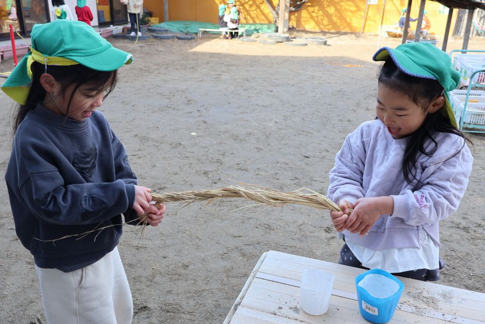 藁をねじねじしながら作っているのは、しめ縄飾り✨
友達と協力しながらぎゅっとねじねじ～

秋に自分たちで収穫した稲穂を使って、遊びの中で作ってみましたよ！
「折り紙で飾り付けたいね～」
「花とか？」
「うまとか！！」

来年に向けてのわくわくした気持ちも
ぎゅぎゅっとこめて一緒に新年を迎えたいですね✨

