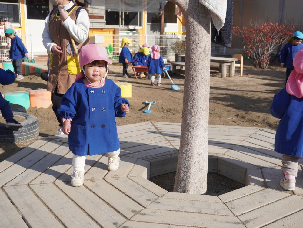 北風こぞうがやってきましたが、第３園庭は太陽ぽかぽか

そこで、第３園庭に遊びに出ました

ウッドデッキに上ると、いつもより目線が高くて気持ちいい！
木の回りをくるくる回って楽しむＲちゃん、ニコニコと楽しそう