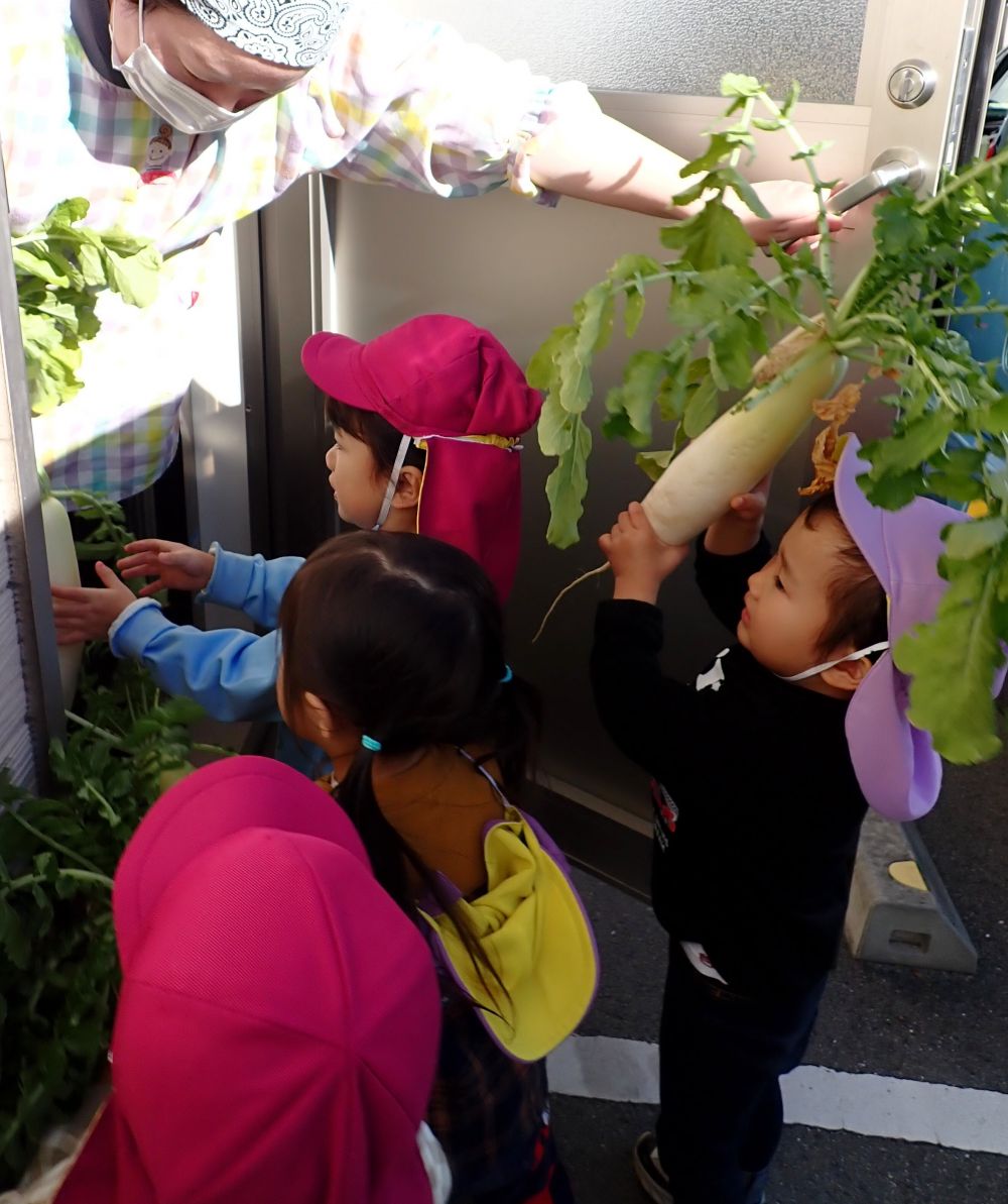 収穫した大根を給食室にお届け♪

「給食で使うね😊」