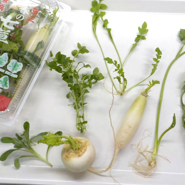 ＊　今日の献立　行事食：七草　＊