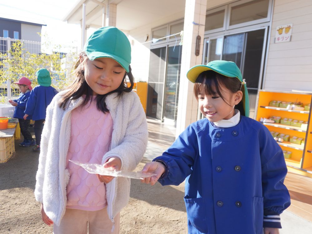 息を吐くと白い息が出たり
めだかの水が凍っていることに気付いたり
冬の事象に興味関心をもっています♡



「みて～こんなでかい氷ができとった！」
「つめたーい！」
「昨日夜めっちゃ寒かったもんね」
「じゃけ凍ったんじゃろ！」
