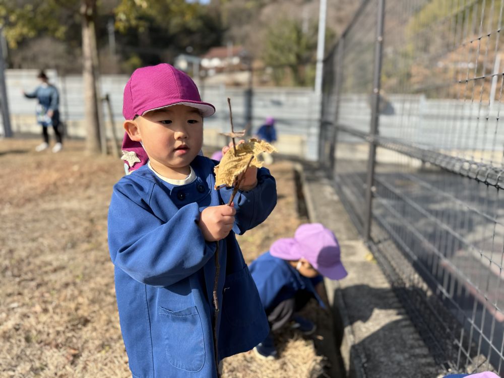 Sくんは、
「はっぱをさして… 
     ましゅまろやくー！」と、
マシュマロ焼きパーティの準備♡