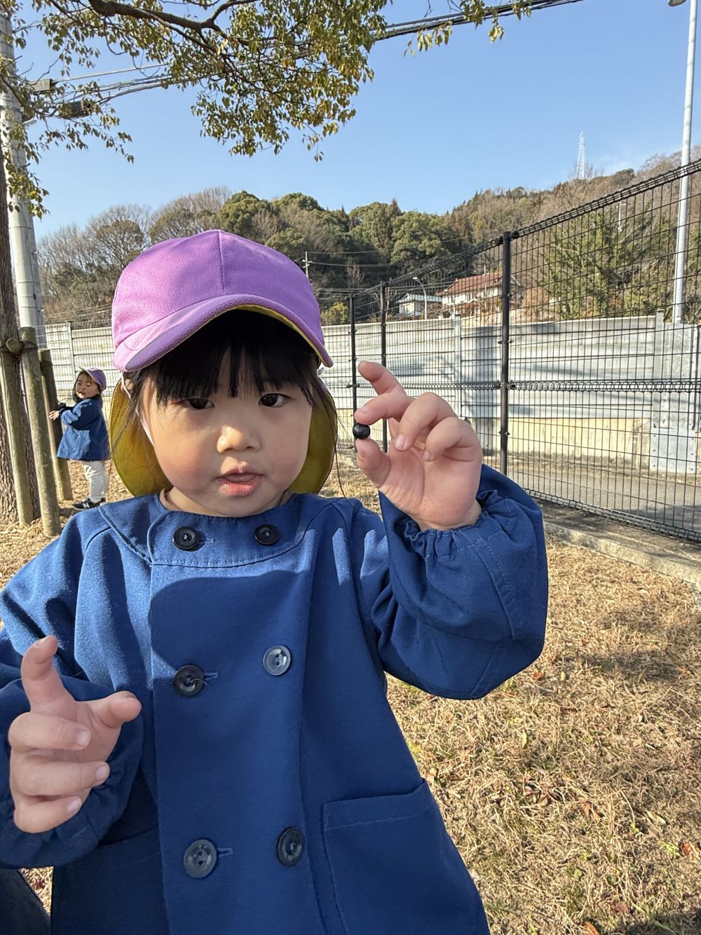 Tちゃんは、
クスノキにくっついていた黒い実を見つけて、
落ちてないかな～と、探して…

「せんせーあったよー！くろいのみ！」と、
見つけて嬉しそうに見せてくれました☺️

いつもとは違う場所で、
みんな目をキラキラさせて、
遊具で遊んだり、自然に触れて遊んだり…

また遊びに行こうね～✨️