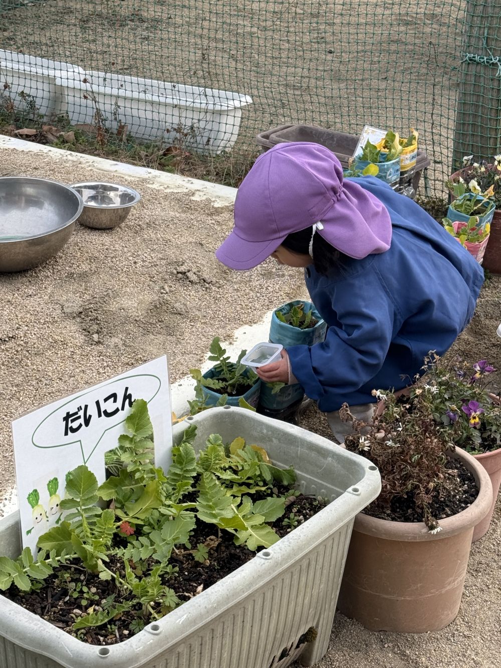 自分だけの氷も作ってみようと、
カップを渡すと、
水を入れて…

あれ？
間違えて大根にあげちゃった😉
こんな可愛い間違えをする姿、
2歳児さんらしくて可愛いですよね❤️