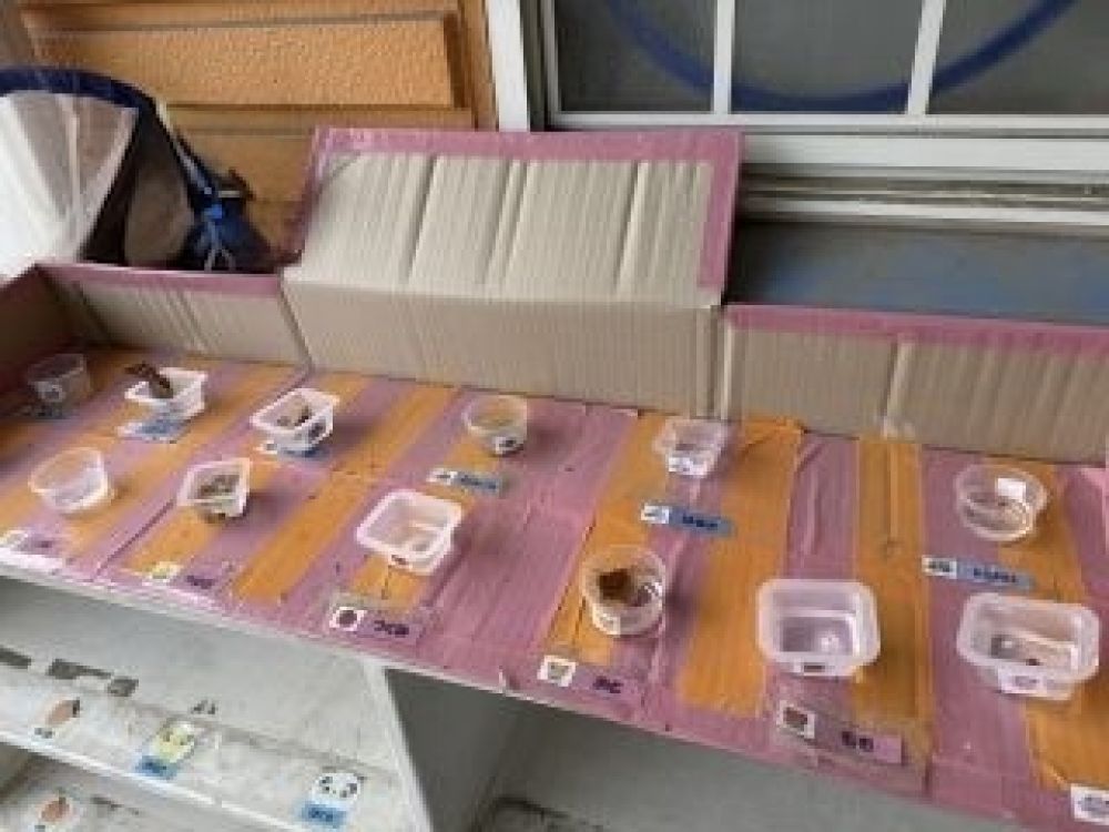 無事、自分の氷作り準備バッチリ✨️

さぁ、凍るかな…？！