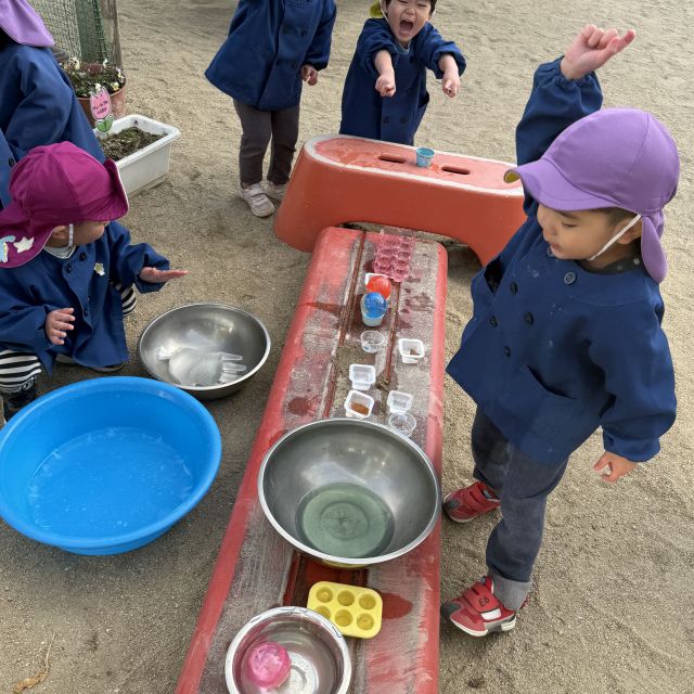 氷実験② 　～ 2歳児　 クマ組～