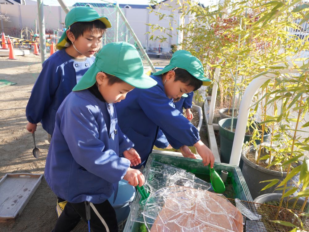 雪が降ったり水が凍ったりなど寒い日が続く最近・・・
雪や凍結は大人にとっては少し大変…
子どもにとっては嬉しくて最高♡



「なんか前よりめっちゃ凍っとる！」
「前よりめっちゃ寒いもんね～」
「いっぱいとれる！」