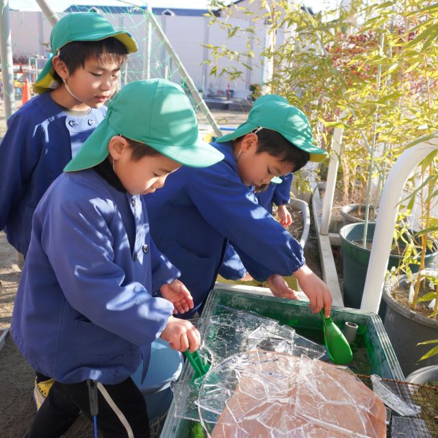 ＊　5歳児　氷！①　＊