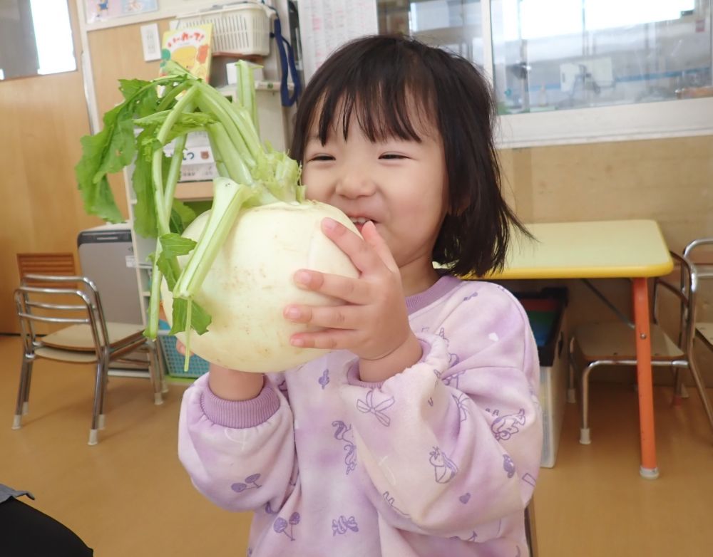 大きな”カブ”
わたしの顔とどっちが大きい？