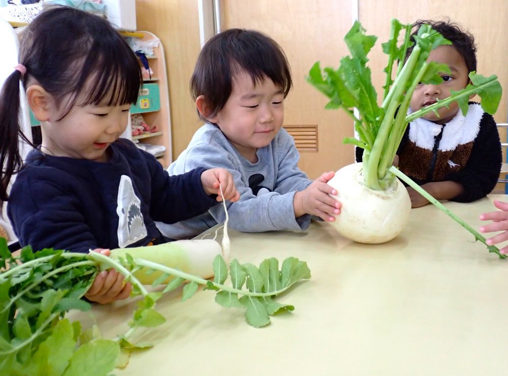 わたしのは”大根”　なが～い✨
ぼくのは”カブ”　まる～い✨
