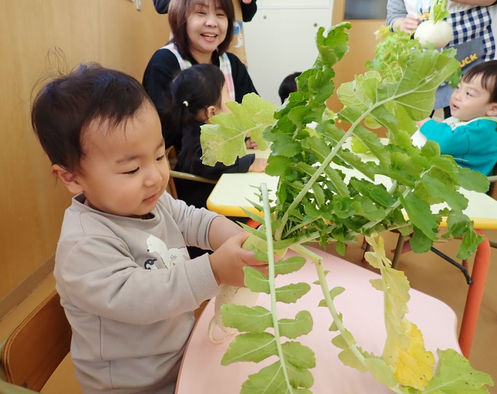 初めてさわった”大根”　おも～い💦