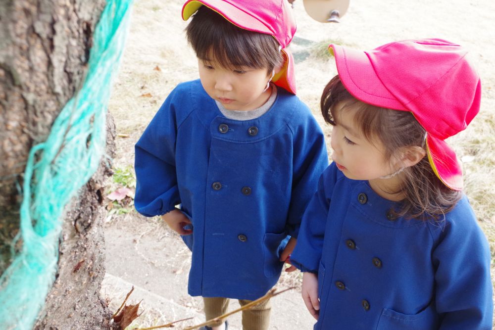 木の幹にオレンジ色のキラキラを発見！

Jくん「これ、カブトムシが食べるやつ！」
Nちゃん「なんかキラキラしてて、きれいかも♡」

みんなが見つけたのは樹液✨
こちらも、つんつん・・・

つやつやつるつる✨でなんだか宝石みたい！？(笑)
ぷっくりまんまるや、ちょっぴりトゲトゲ！いろんな形や色を見つけたね。
