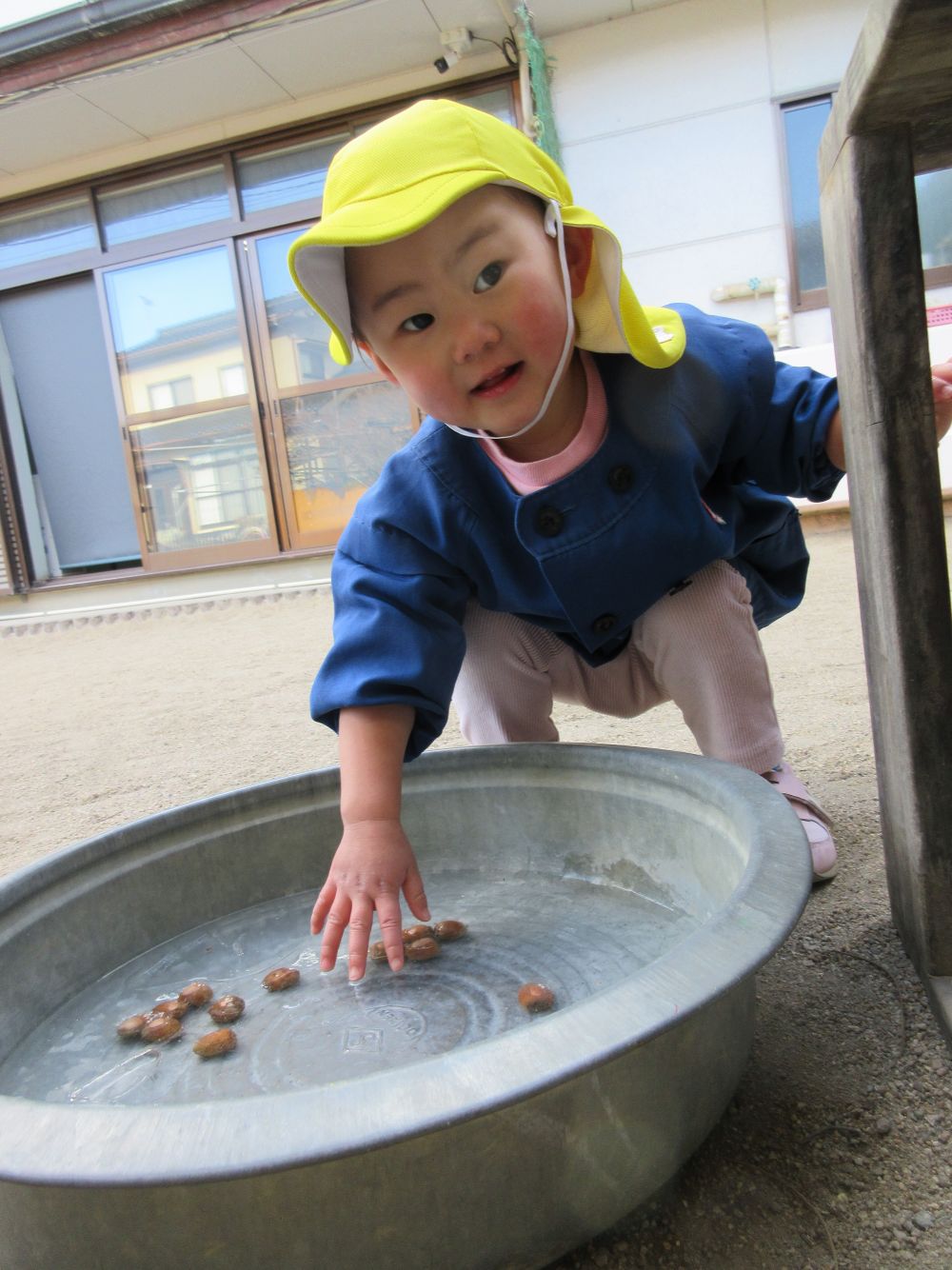 どんぐりを発見！
でも、取ろうとしても氷で固まっているので取れません！

「とれない！」　「あれ？」
と何回も挑戦してもなかなか取ることができず、
不思議そうな表情をするSちゃん
