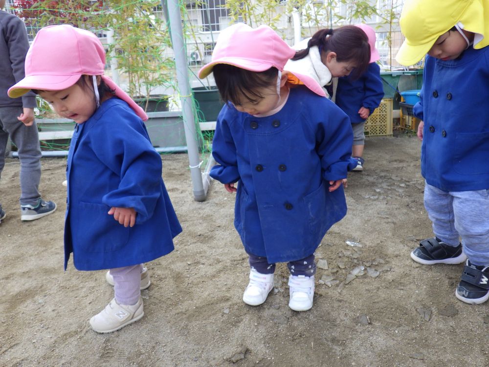 第三園庭に遊びに行くと、いつもより広い園庭で、いつもと違う遊びをたのしんでいるウサギ組
毎日発見がいっぱいです！



氷を見つけたMちゃんとMちゃん
さっそく踏んでみると・・・パリッといい音
楽しくて何度もふみふみ
