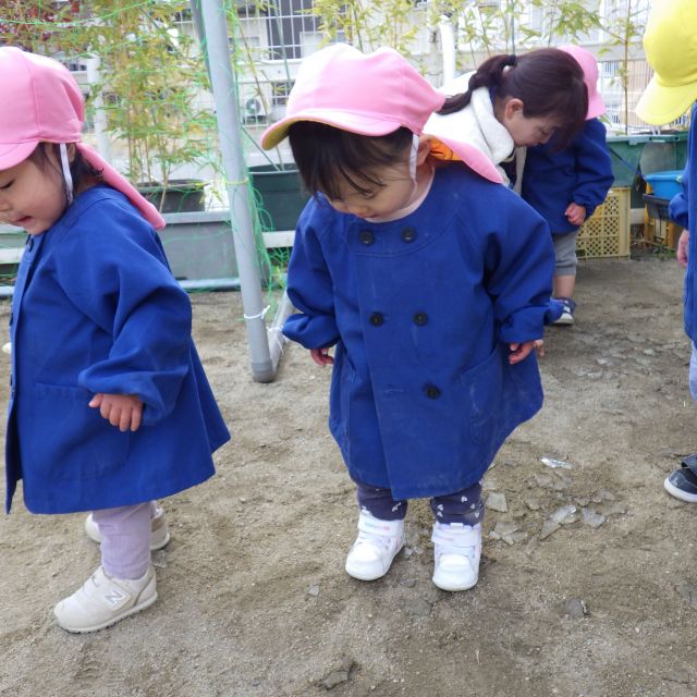 ＊　０歳児　第三園庭で・・・　＊