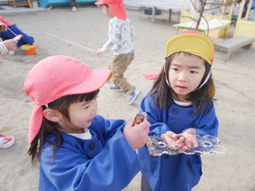 『これどうやったら割れるんかねぇ？？』
『手でちぎってみる？でも固いね～・・・』
色々試すが中々割れませんでした
子どもたちの氷研究はまだまだ続きます・・・♡
明日の朝も氷ができるかな？楽しみだね
