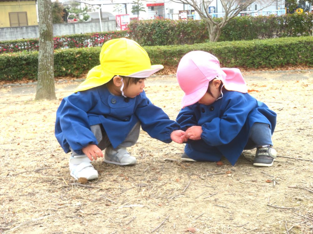 冬の公園に散歩にいってきました


今日は寒さが少し和らいだので散歩にいってきました
秋に来た時には地面一面のドングリがありましたが
季節が変わり、落ち葉や枝に変わっていました
「ドングリないね」
「あっ！帽子があったよ（どんぐりの房）」
友達や先生と話ながら探索を楽しみます

見つけた落ち葉やドングリをウサギ組のＦ君にあげるKちゃん
Ｆ君もちぎったり、眺めたりしながら集中して遊びます


