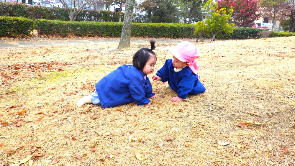 少し丘になっている斜面を、下からと上からハイハイで近づいてきたIちゃんとSくん
お互い顔を合わせてニッコリ♡
バランスを取りながら体を動かして楽しみます