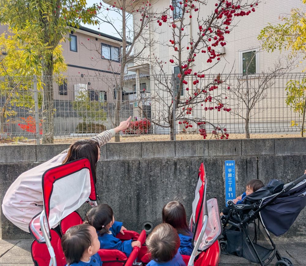 今日は新しい大型ベビーカーに乗って、
散歩に行ったよ♪

散歩の途中で小さなリンゴの木を発見👀
皆で観察したよ😊



