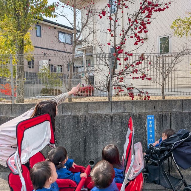 散歩に行ったよ♪　～０歳児　ウサギ組～