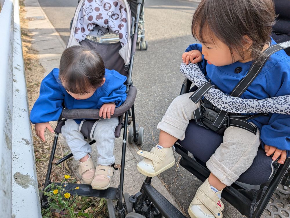 道端にはタンポポも咲いていたね😊

散歩で春の訪れも感じました🌸
また散歩に行こうね♪