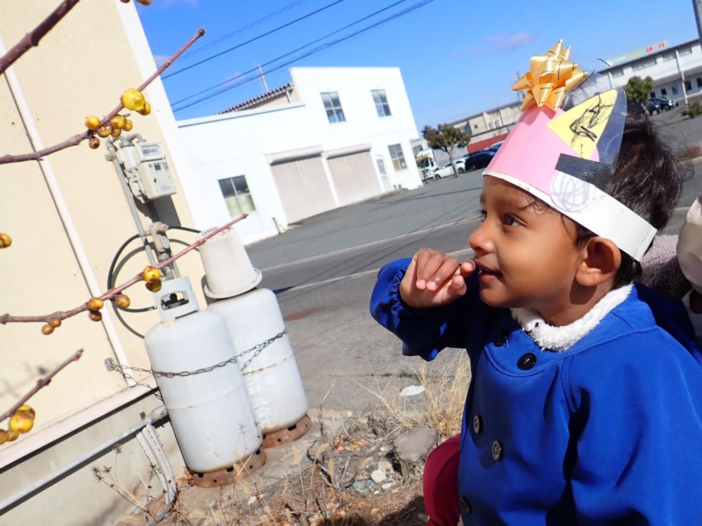 節分が終わると”立春”
　ロウバイの花が咲き始めていました😊