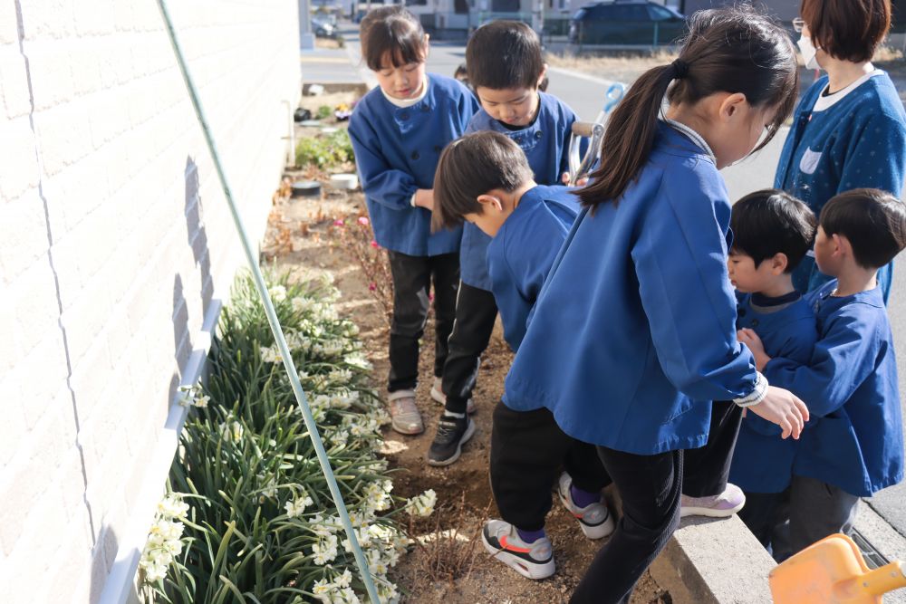 一応、地中に埋めずに押し入れに入れて保管しておくか毎年聞きますが、やっぱり「埋めたい！」
満場一致でいざ掘削

少しずつ順番にみんなで掘り進めていきます