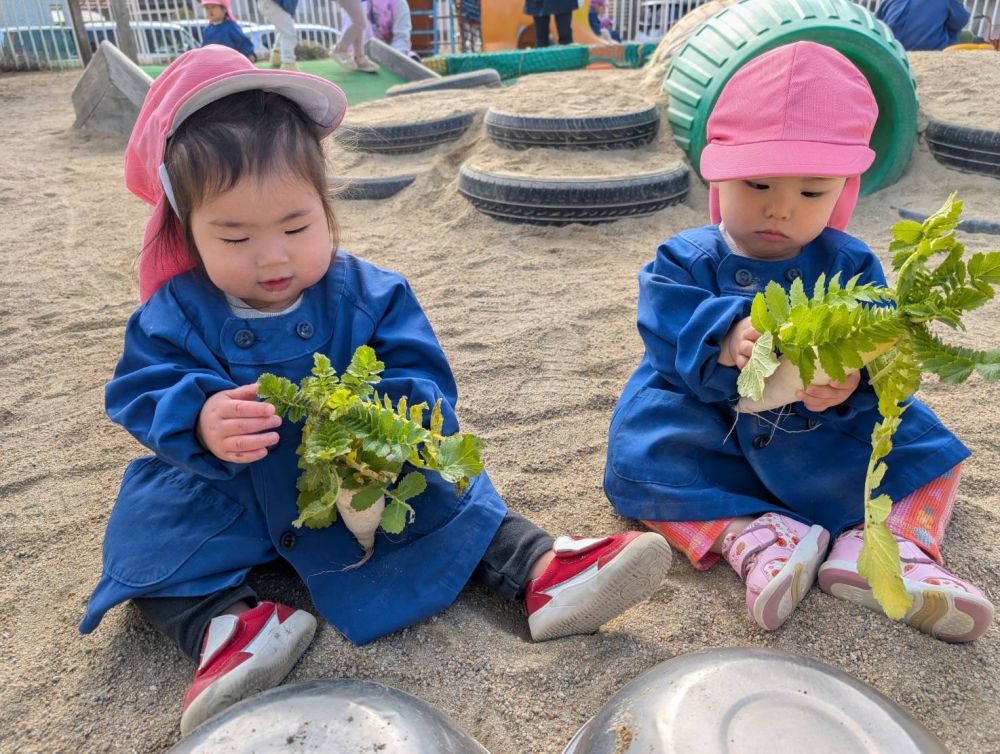 クマ組さんが作った大根を触ったよ
興味津々なRくん・・・
葉っぱを見つけて、
真剣に触っていました♡
