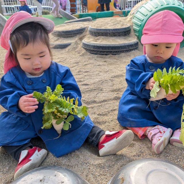 冬野菜をはっけ～ん　～０歳児　ウサギ組～