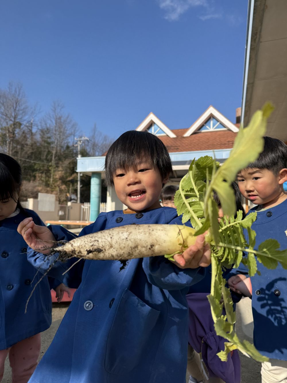 とっても立派な大根も収穫✌️

みんなが毎日、
愛情たっぷり水をあげたからだね❤️

